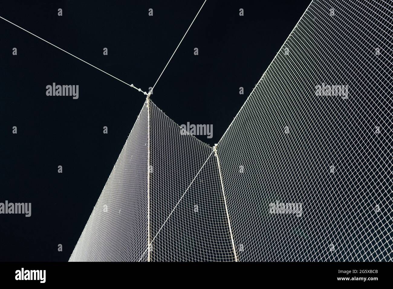 Baseball foul palla di sicurezza netting contro un cielo notturno. Foto Stock