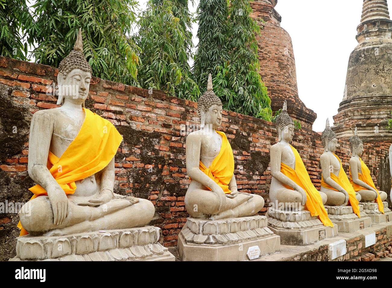 Fila delle incredibili immagini Buddha in abiti gialli con il gruppo di Stupa sullo sfondo, Wat Yai Chai Mongkhon Tempio, Ayutthaya, Thailandia Foto Stock