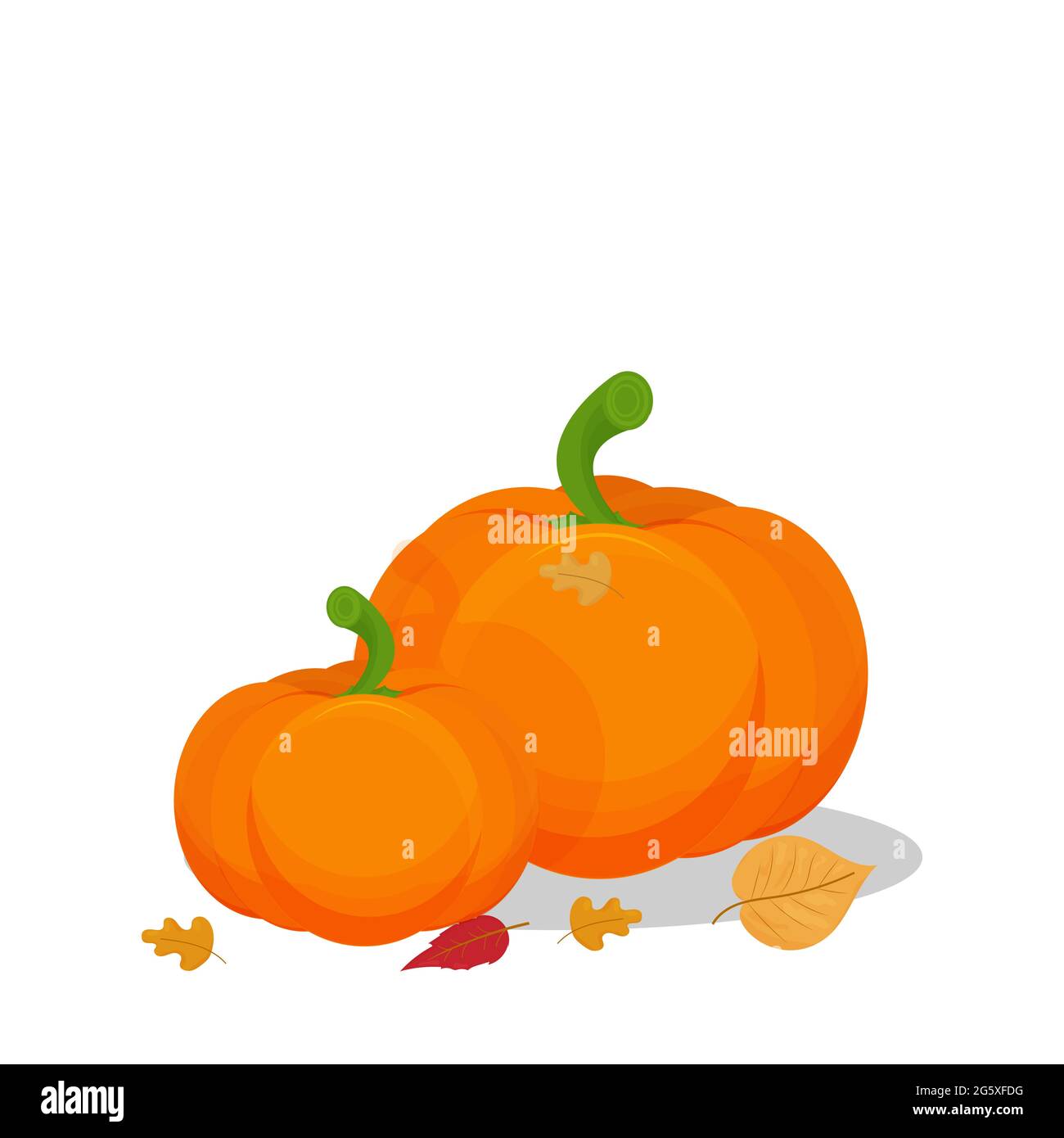 Composizione con zucche e foglie autunnali isolate su sfondo bianco stock illustrazione vettoriale. Vendemmia, concetto di celebrazione del Ringraziamento. Illustrazione vettoriale Illustrazione Vettoriale