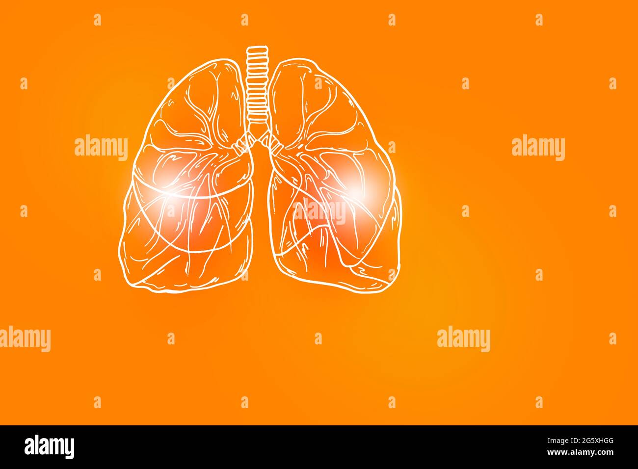 Illustrazione Handrawn dei polmoni umani su sfondo arancione positivo. Set medico-scientifico con i principali organi umani con spazio di copia vuoto per testo o informazioni Foto Stock