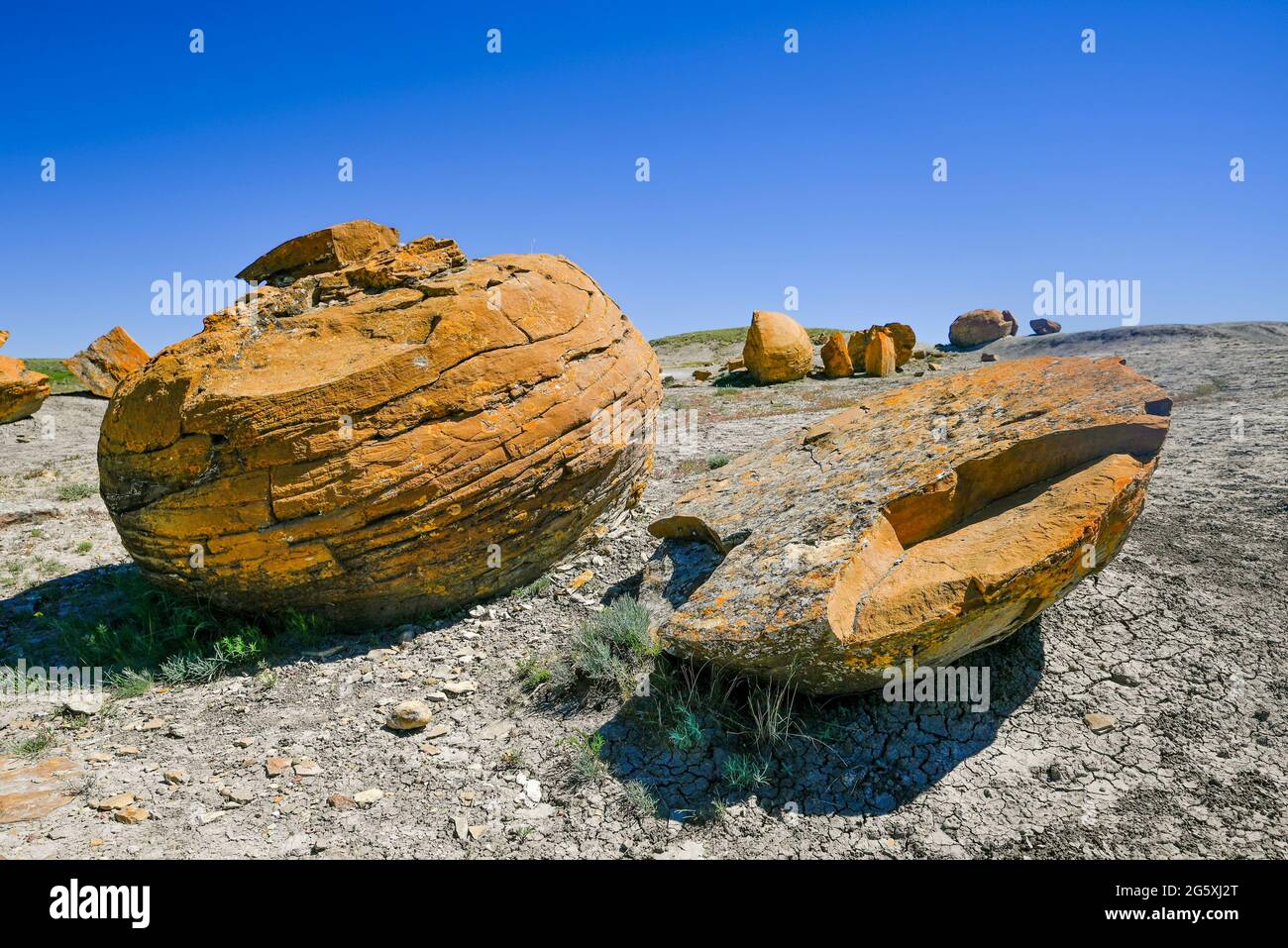 Formazioni rocciose sferoidali, Area Naturale di Coulee della roccia Rossa, Alberta, Canada Foto Stock