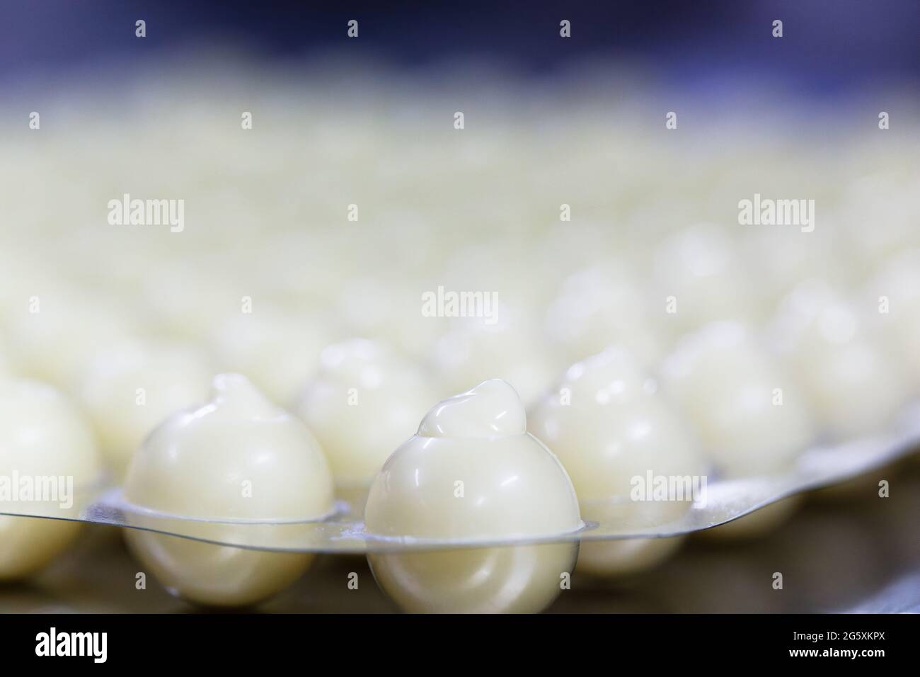 cioccolatini a forma di conchiglia