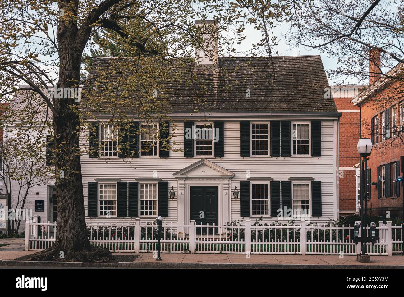 Una grande casa con alberi di fronte ad essa, New Haven, Connecticut Foto Stock
