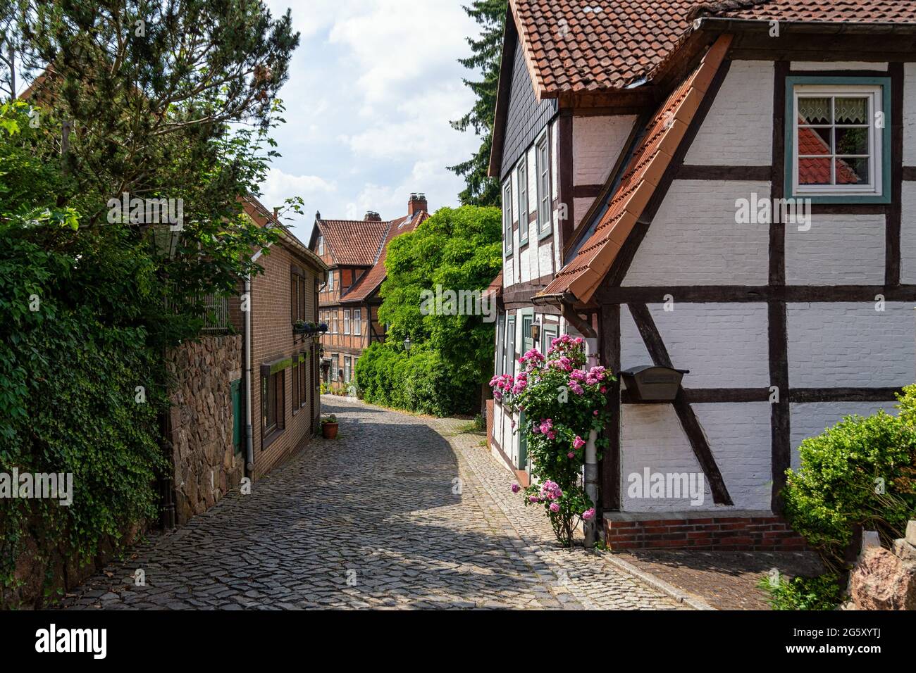 Case storiche nel centro storico di Lauenburg Foto Stock