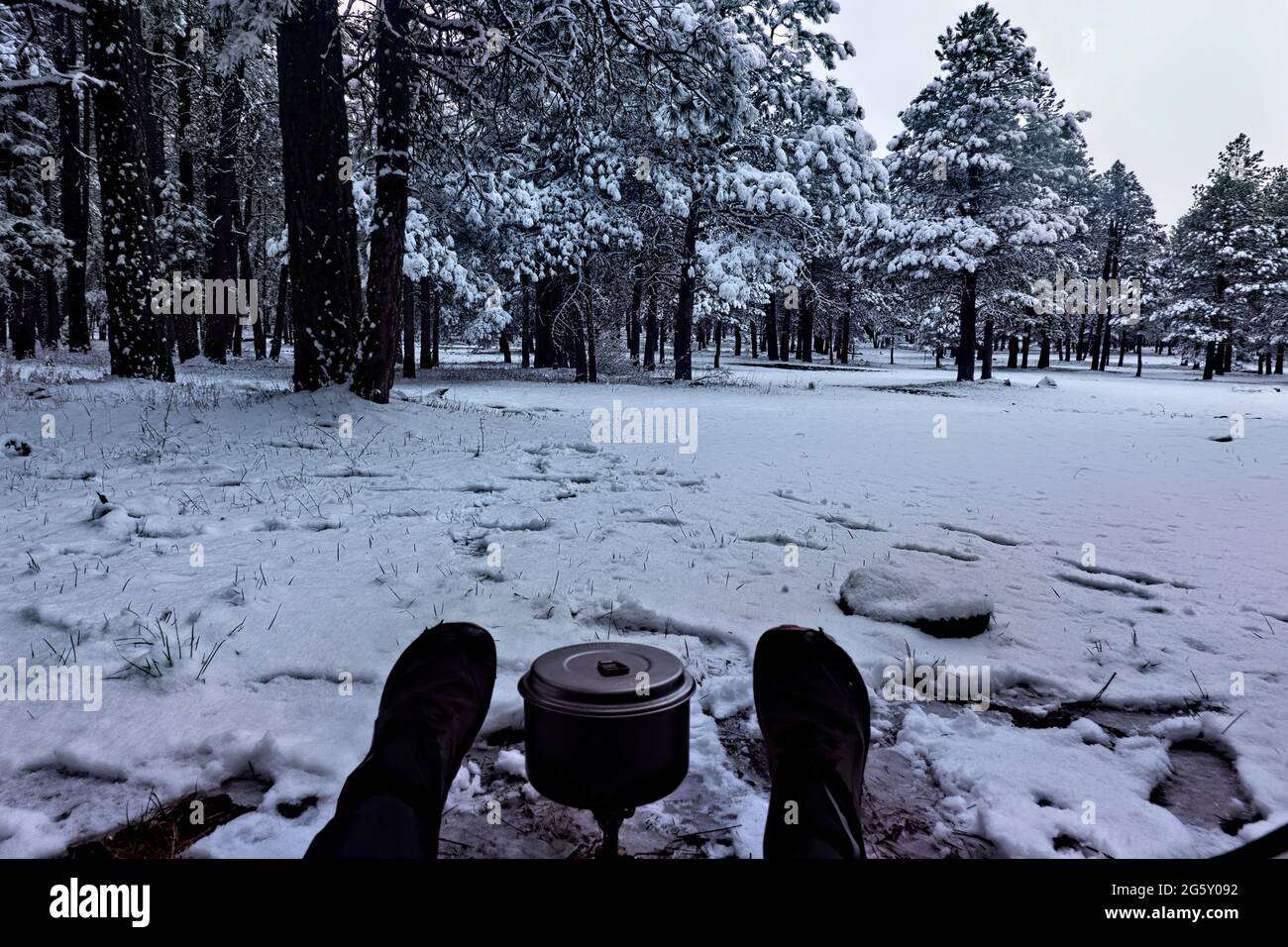 Campeggio nella neve sul Mogollon Rim, Mormon Lake, Arizona, U.S.A Foto Stock