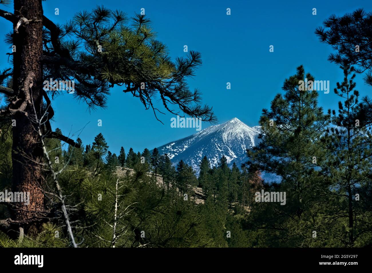 Vista di Humphreys Peak, la montagna più alta in Arizona, U.S.A Foto Stock