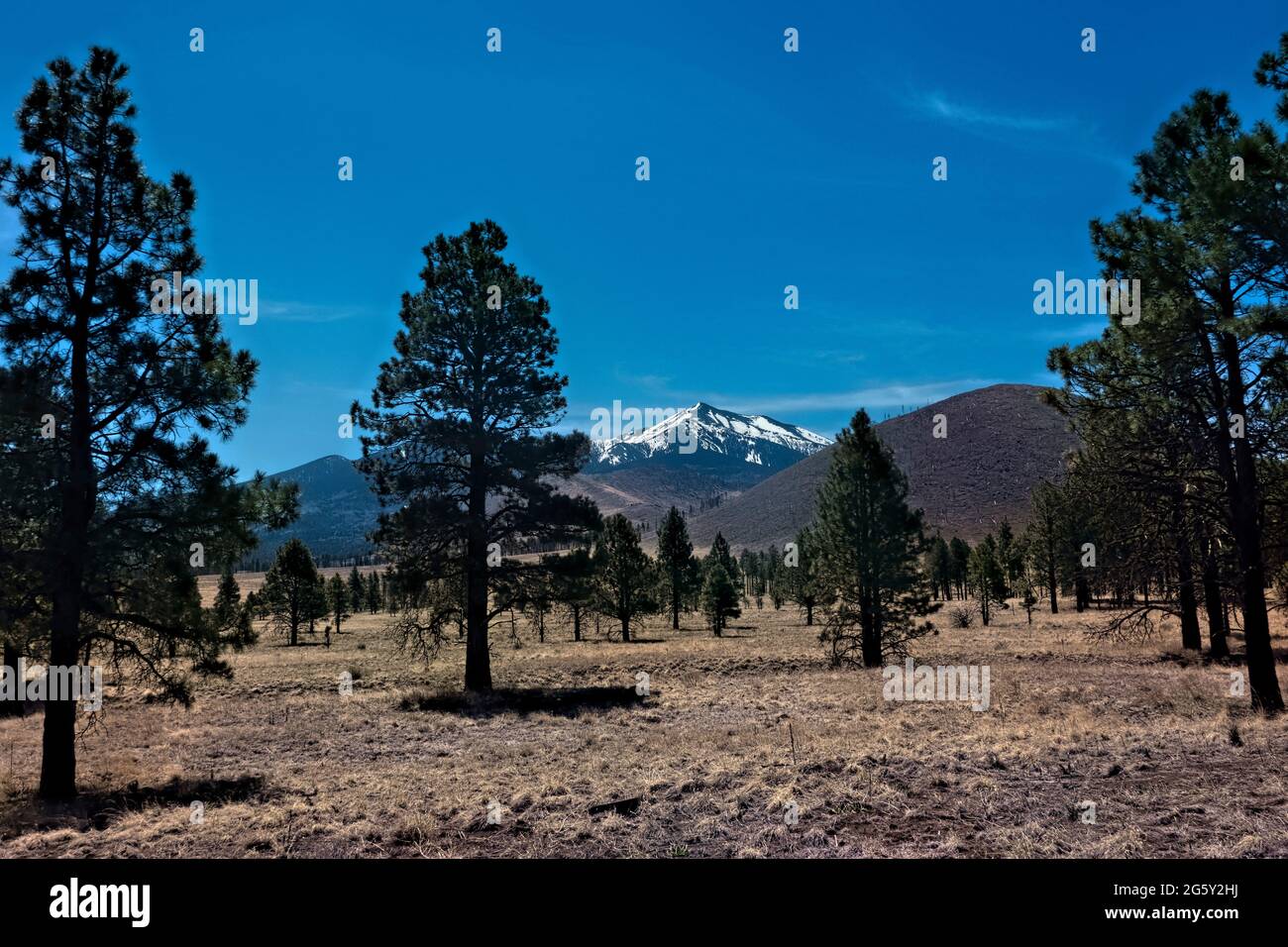 Vista di Humphreys Peak, la montagna più alta in Arizona, U.S.A Foto Stock