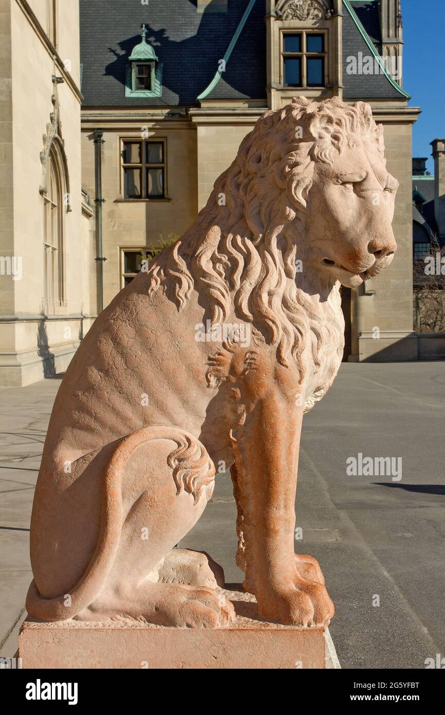 Una statua del leone si trova all'esterno dell'ingresso frontale della Biltmore House, costruita da George Vanderbilt. Foto Stock