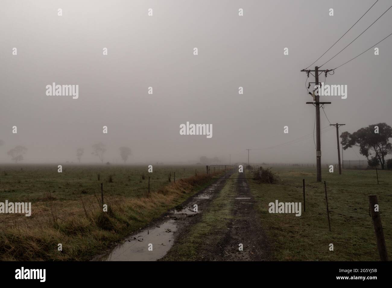 Le linee elettriche corrono lungo una pista di campagna in un paesaggio di prima mattina foggy Foto Stock