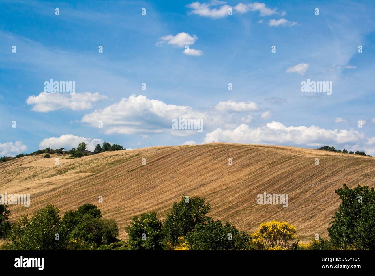 Italia, Toscana, il paese della valle dell'Orcia. Foto Stock