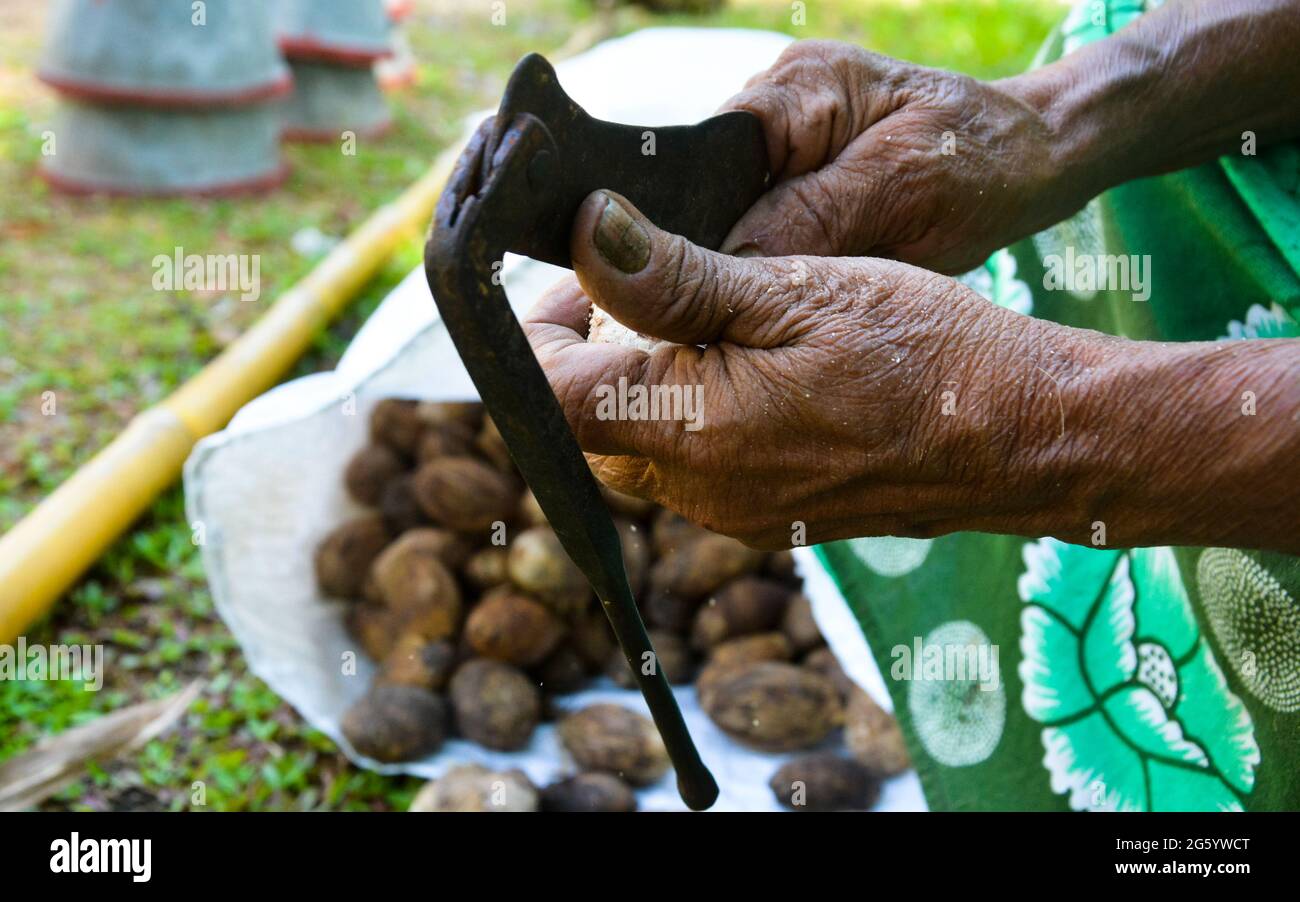 Dadi di betel che tagliano in piccolo formato dai popoli Foto Stock