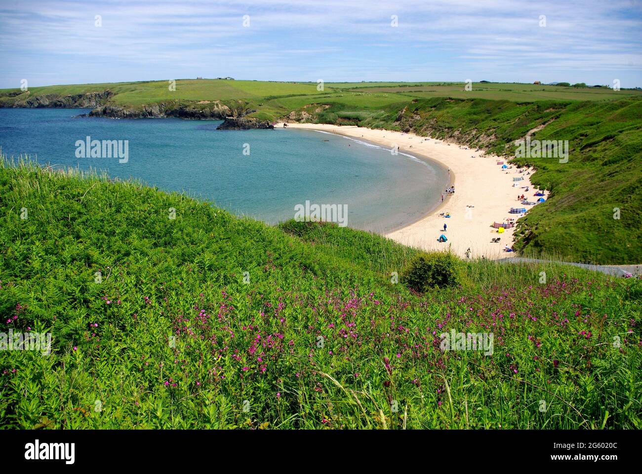 Whistling Sands spiaggia vista dal sentiero costiero nell'estate 2021, Porth Oer, Gwynedd, Galles del Nord, Regno Unito, Europa Foto Stock