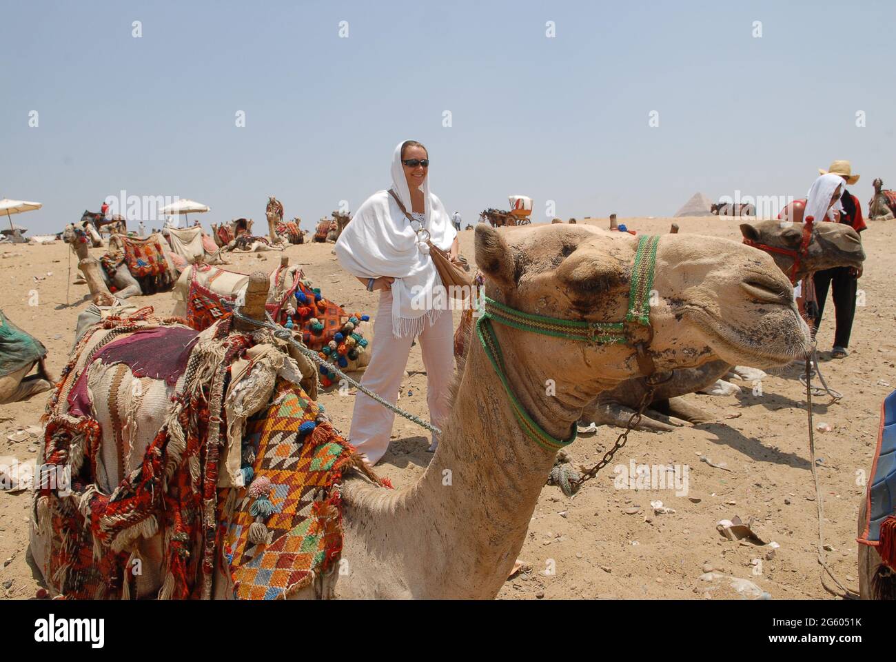 I turisti cammelli che riposano alle Piramidi di Giza, il Cairo, Egitto. Cammelli del deserto clima caldo egiziano che lavorano animali Foto Stock