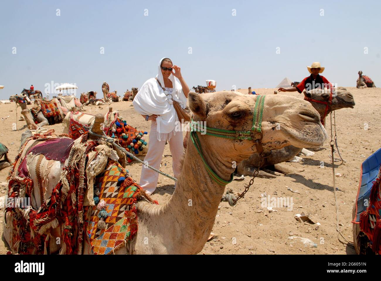 I turisti cammelli che riposano alle Piramidi di Giza, il Cairo, Egitto. Cammelli del deserto clima caldo egiziano che lavorano animali Foto Stock