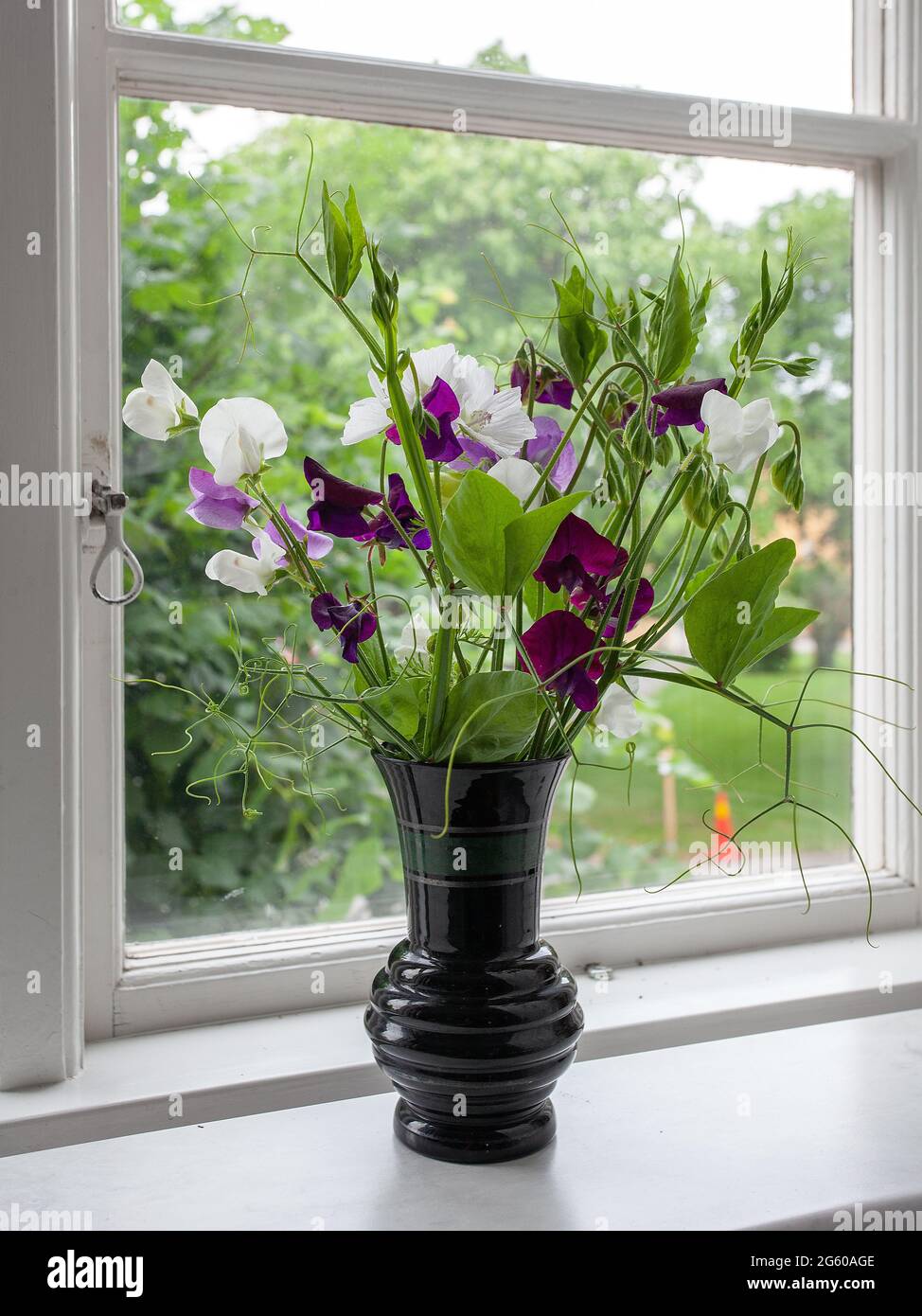 Fiori sul davanzale della finestra immagini e fotografie stock ad alta  risoluzione - Alamy