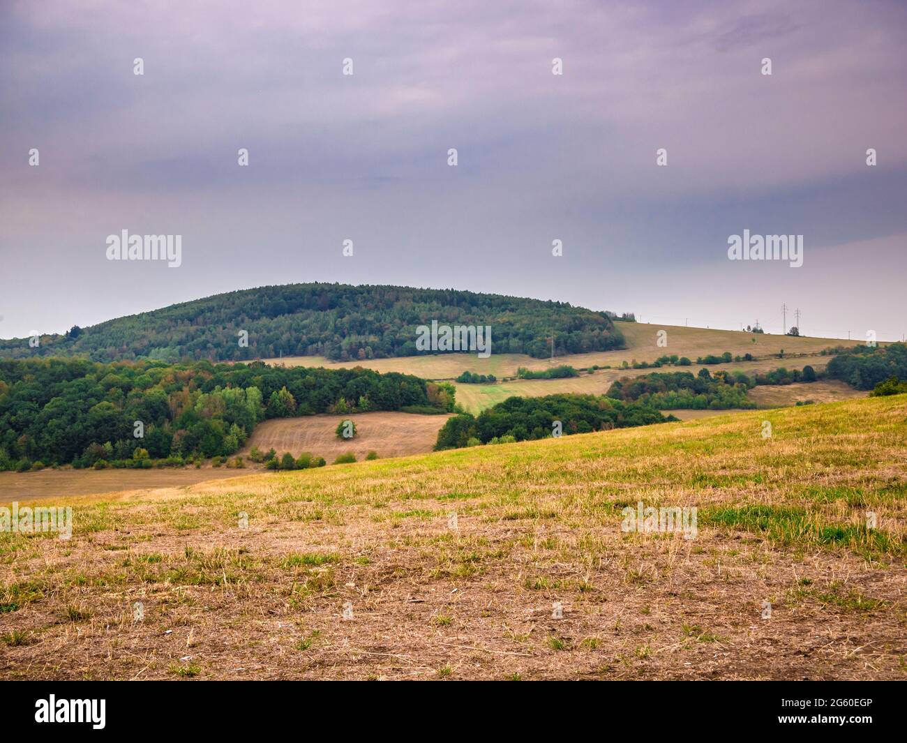Paesaggio con prati asciutti, boschi e colline, con cielo nuvoloso Foto Stock