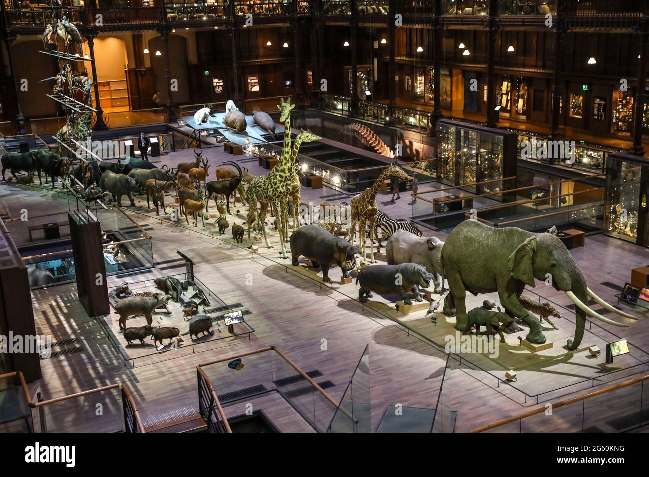 GALLERIA DELL'EVOLUZIONE, PARIGI Foto Stock