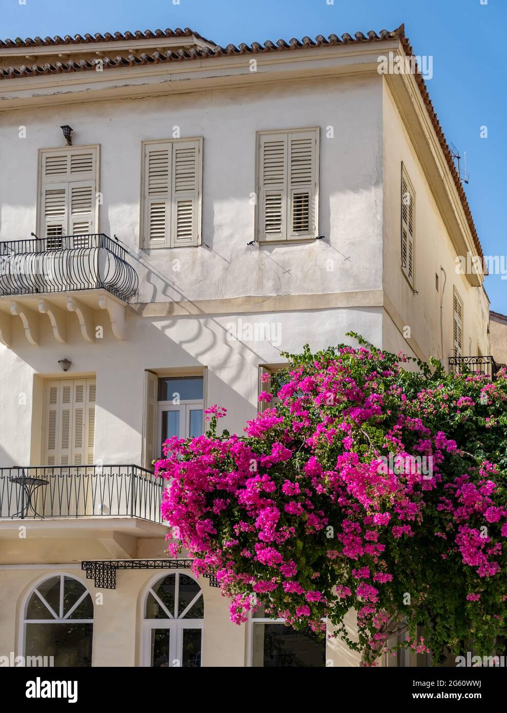 Facciata dell'edificio neoclassico. Città di Nafplion, Grecia, città vecchia. Bougainvillea fiore pianta, rosso magenta colore fiori, destinazione estiva vacanze Foto Stock