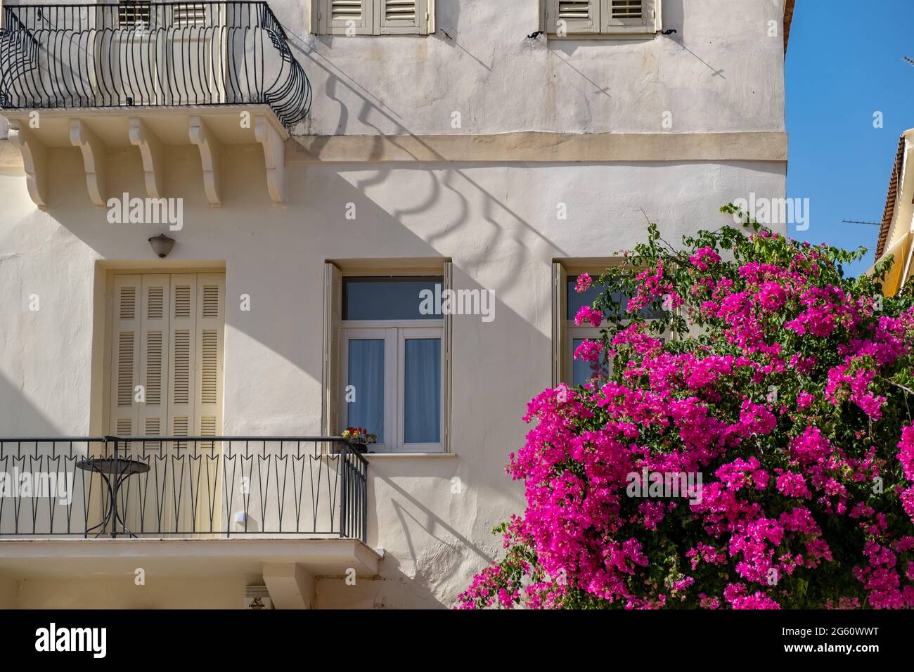 Bougainvillea fiore pianta, rosso magenta fiori di colore arrampicata su una facciata edificio neoclassico. Nafplio o Nafplion città, Grecia, Città Vecchia. Estate Foto Stock