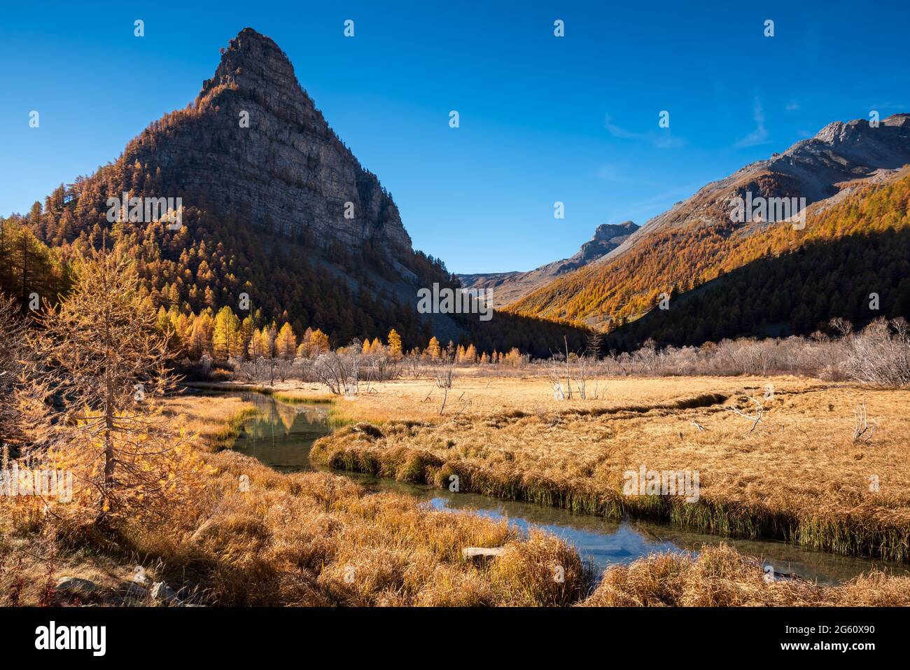 Lac des Sagnes in autunno con la Tour des Sagnes montagna. Ubaye Valley nel Parco Nazionale del Mercantour. Alpi dell'alta Provenza, Alpi francesi, Francia Foto Stock