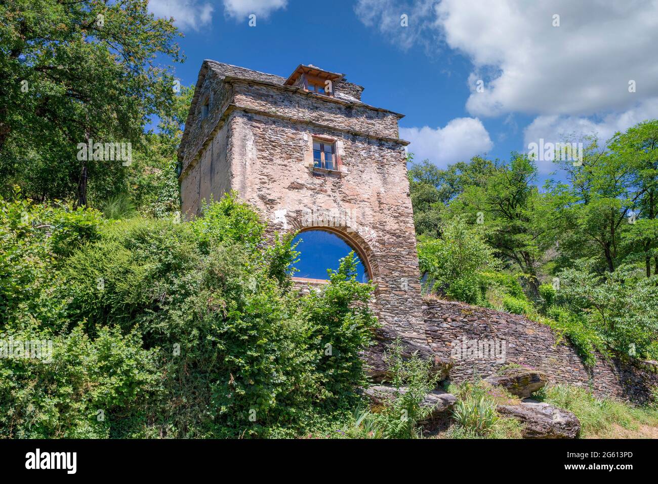 Francia, Aveyron, Villaggio di Belcastel, ex tappa sulla strada per Saint-Jacques-de-Compostelle, Villaggio etichettato come uno dei più bei villaggi in Francia, castello medievale di Belcastel restaurato alla fine degli anni '70 dall'architetto Fernand Pouillon, sopra il villaggio Foto Stock