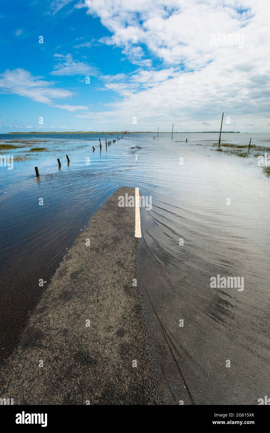 Lindisfarne o Holy Island Causeway con marea crescente, Northumberland, Regno Unito Foto Stock