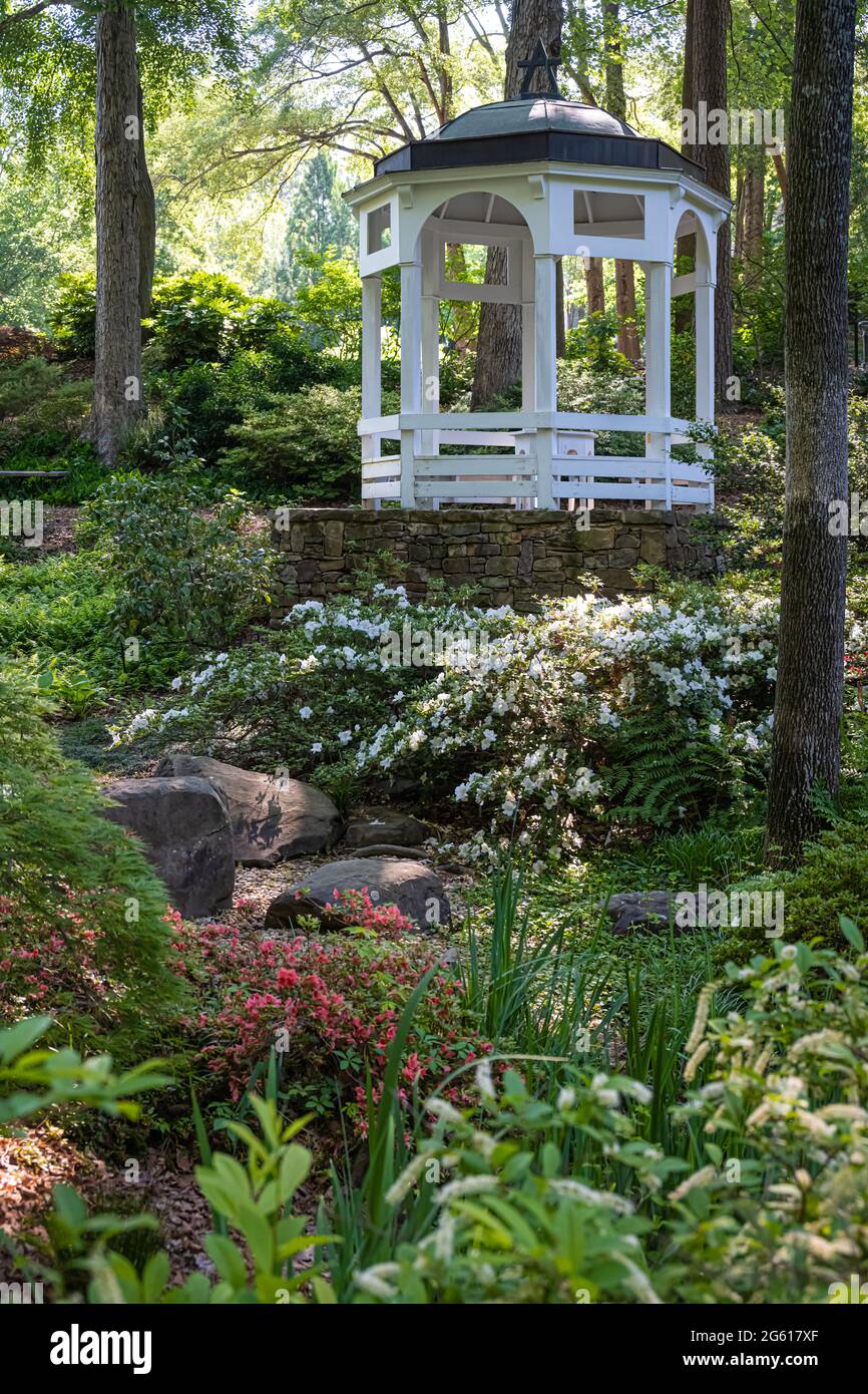 Cherry Sims Asian American Garden con gazebo bianco all'interno dei Goizueta Gardens presso l'Atlanta History Center a Buckhead, Atlanta, Georgia. (STATI UNITI) Foto Stock