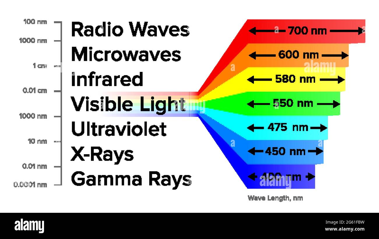 Informazioni sullo spettro elettromagnetico Schema raggi gamma vettore Illustrazione Vettoriale