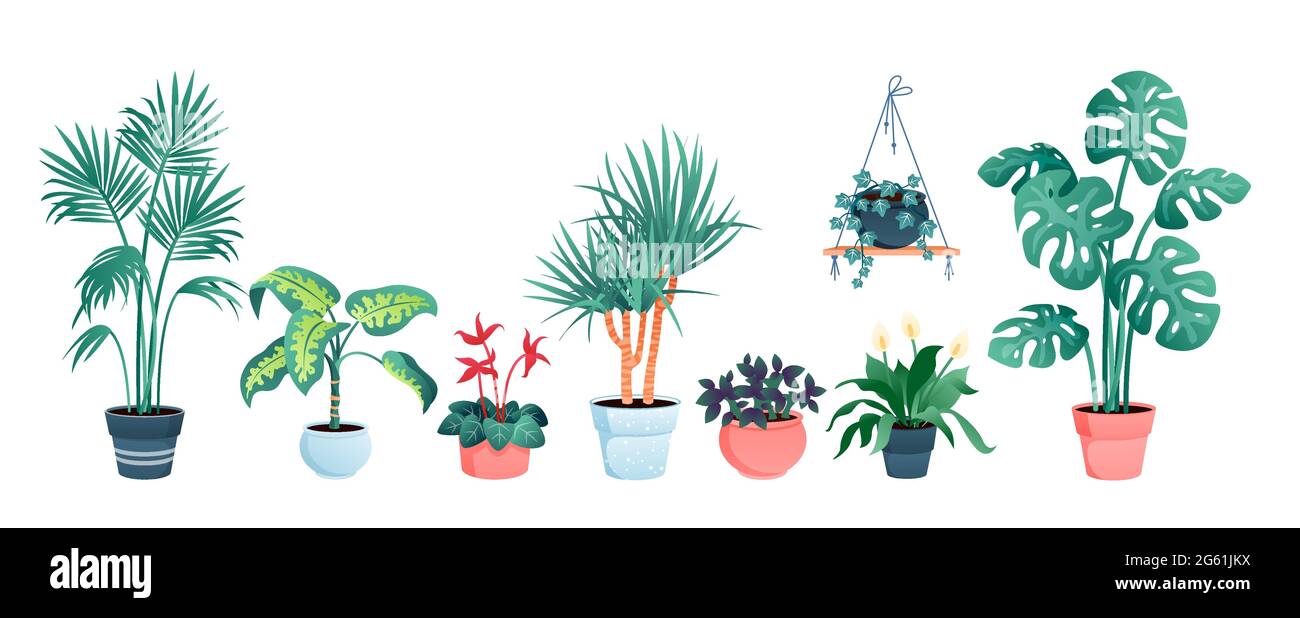 Casa piante decorazione casa vettoriale illustrazione set, cartoon piatto vaso piante verdi e fiori raccolta decorativa isolato su bianco Illustrazione Vettoriale