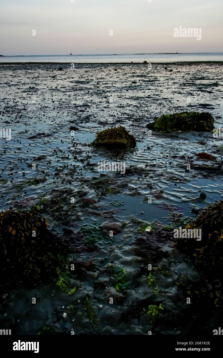 Vista mare con erba erbosa in primo piano Foto Stock