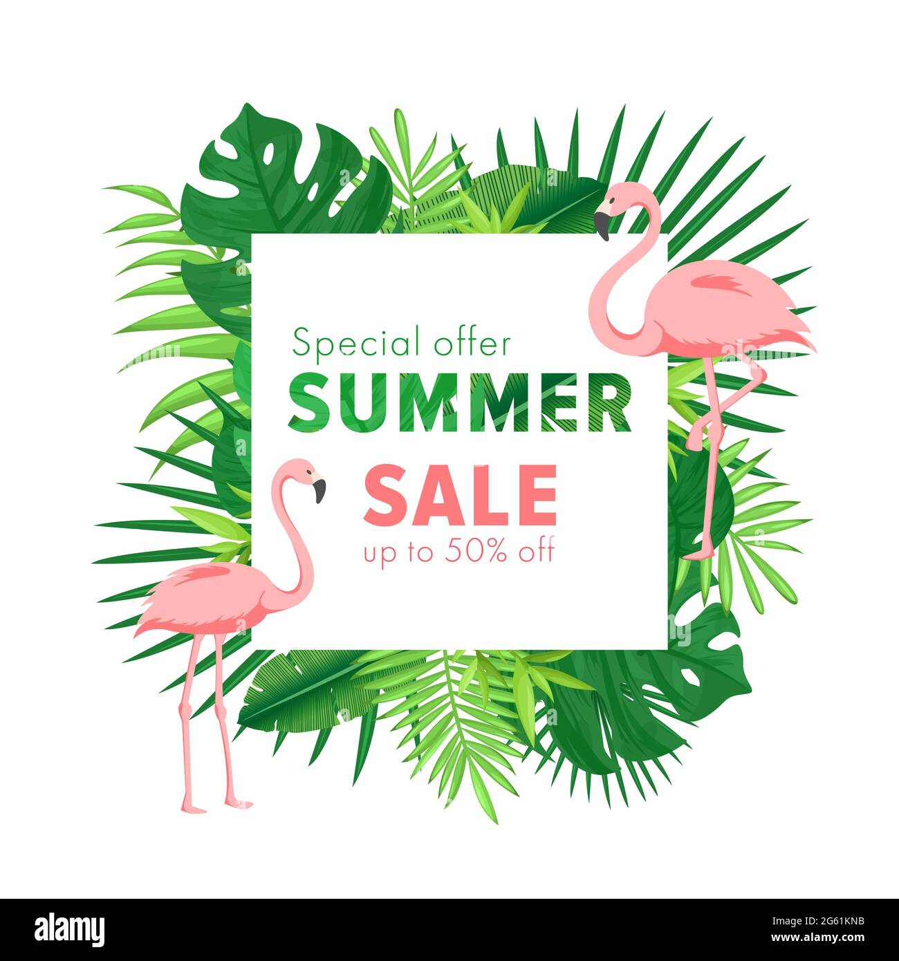 Illustrazione vettoriale della vendita estiva. Cartoon banner piatto con foglia tropicale di palme della giungla e fenicotteri. Sconto design background, offerte speciali Illustrazione Vettoriale
