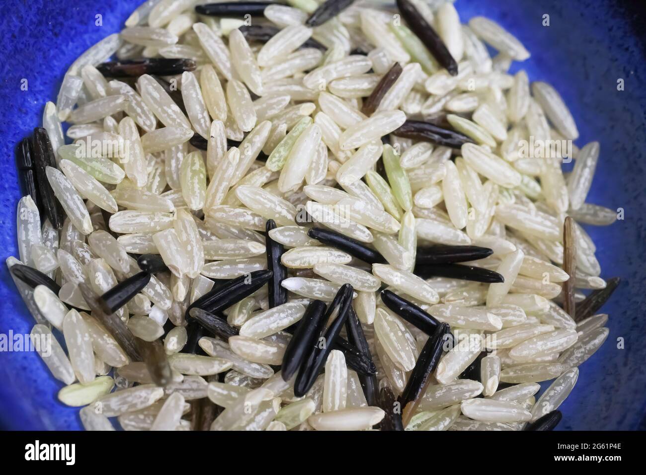 Macro primo piano di molti riso integrale crudo isolato a grani lunghi selvatico e sano marrone nero integrale in ciotola blu Foto Stock