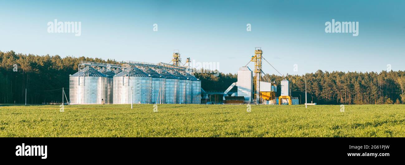 Visualizza il Granaio moderno, il complesso di essiccazione del grano, il grano commerciale o i silos di semi nel paesaggio rurale di Sunny Spring. Silos per l'essiccatore del mais, terminale per la granella interna Foto Stock