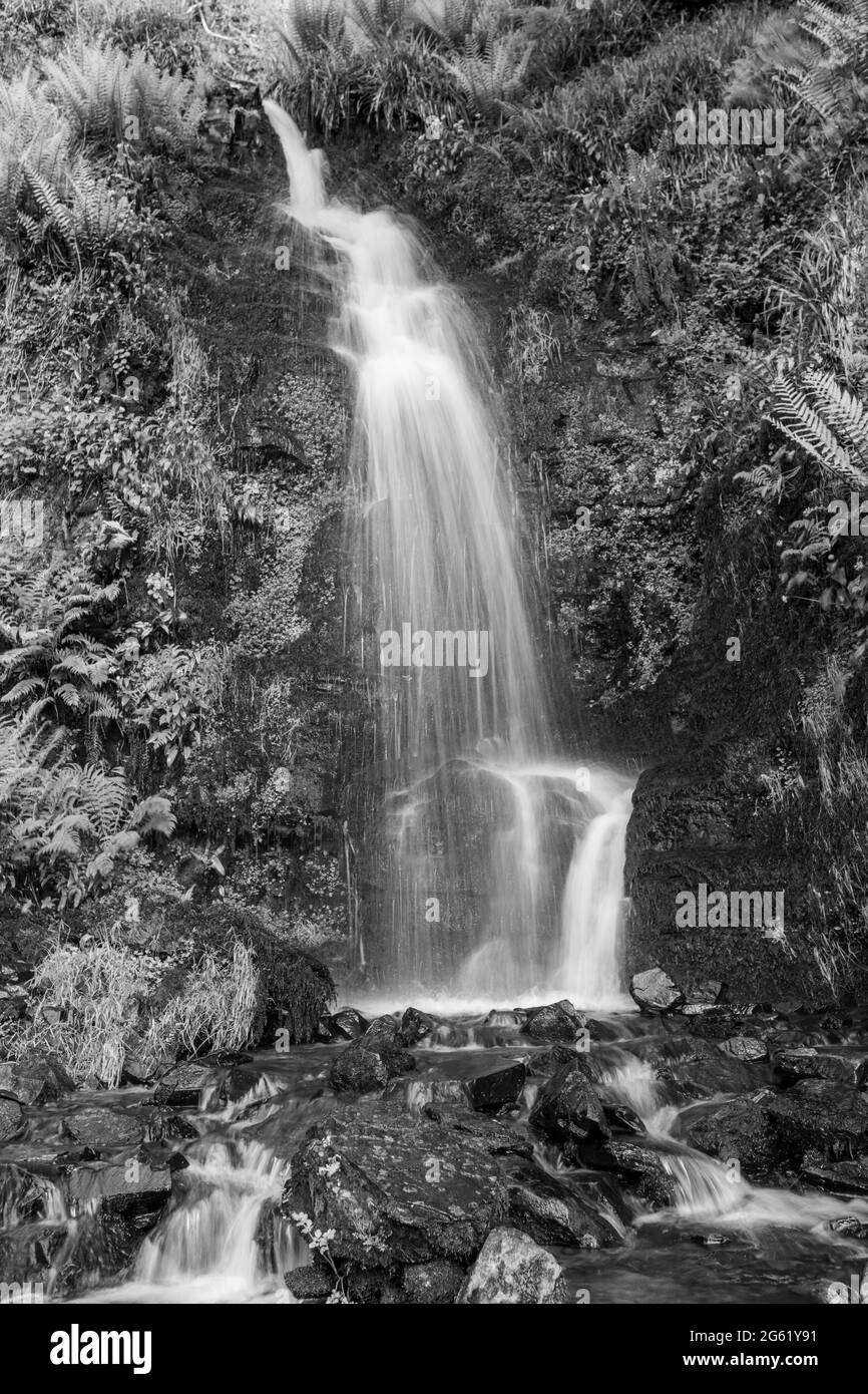 Lunga esposizione della cascata di Hollowbrook sulla costa sud-occidentale da Woody Bay alla foce di Heddons in Devon Foto Stock