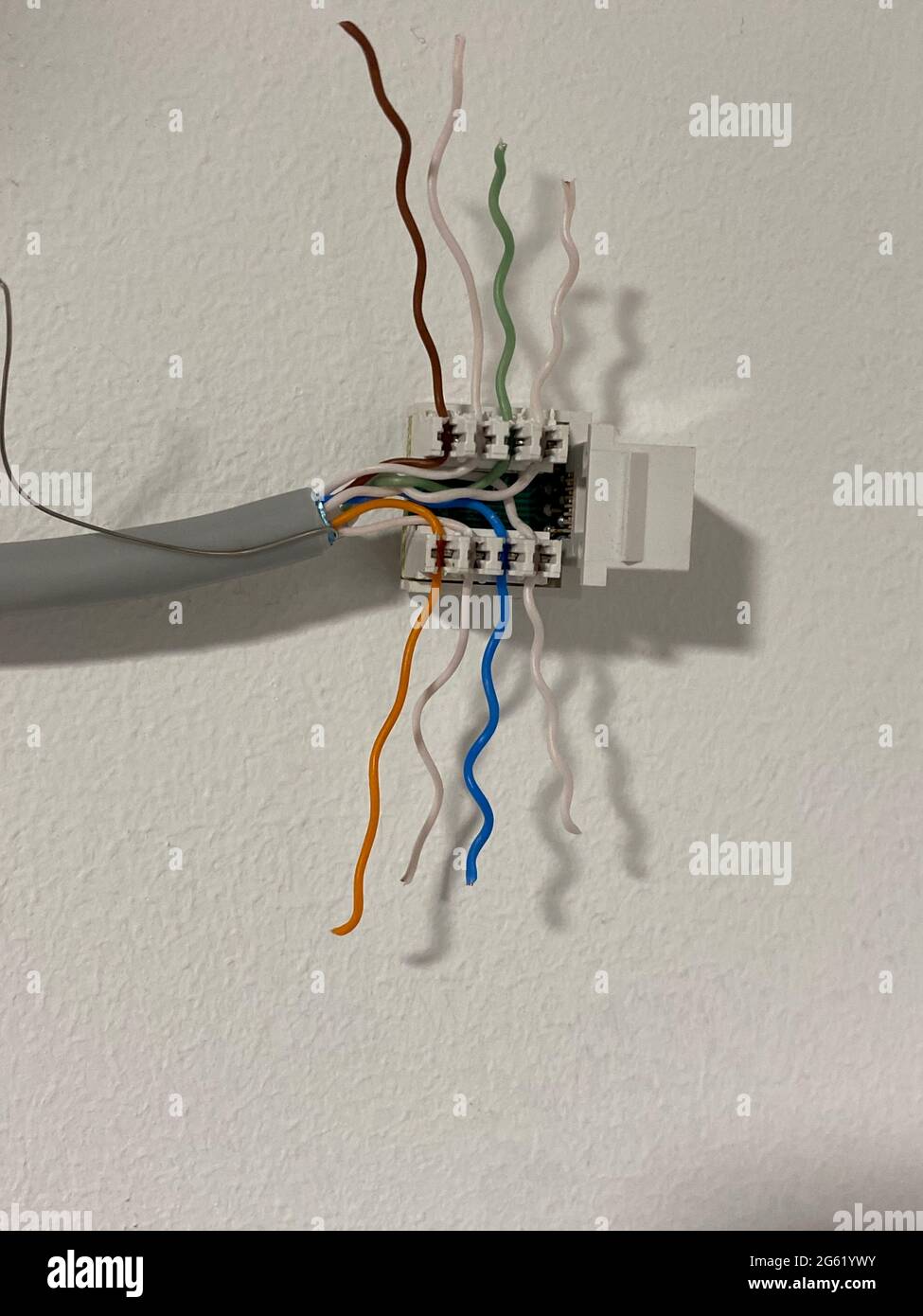 Cavo dati UTP predisposto per la vista ravvicinata dell'inserto del connettore Foto Stock