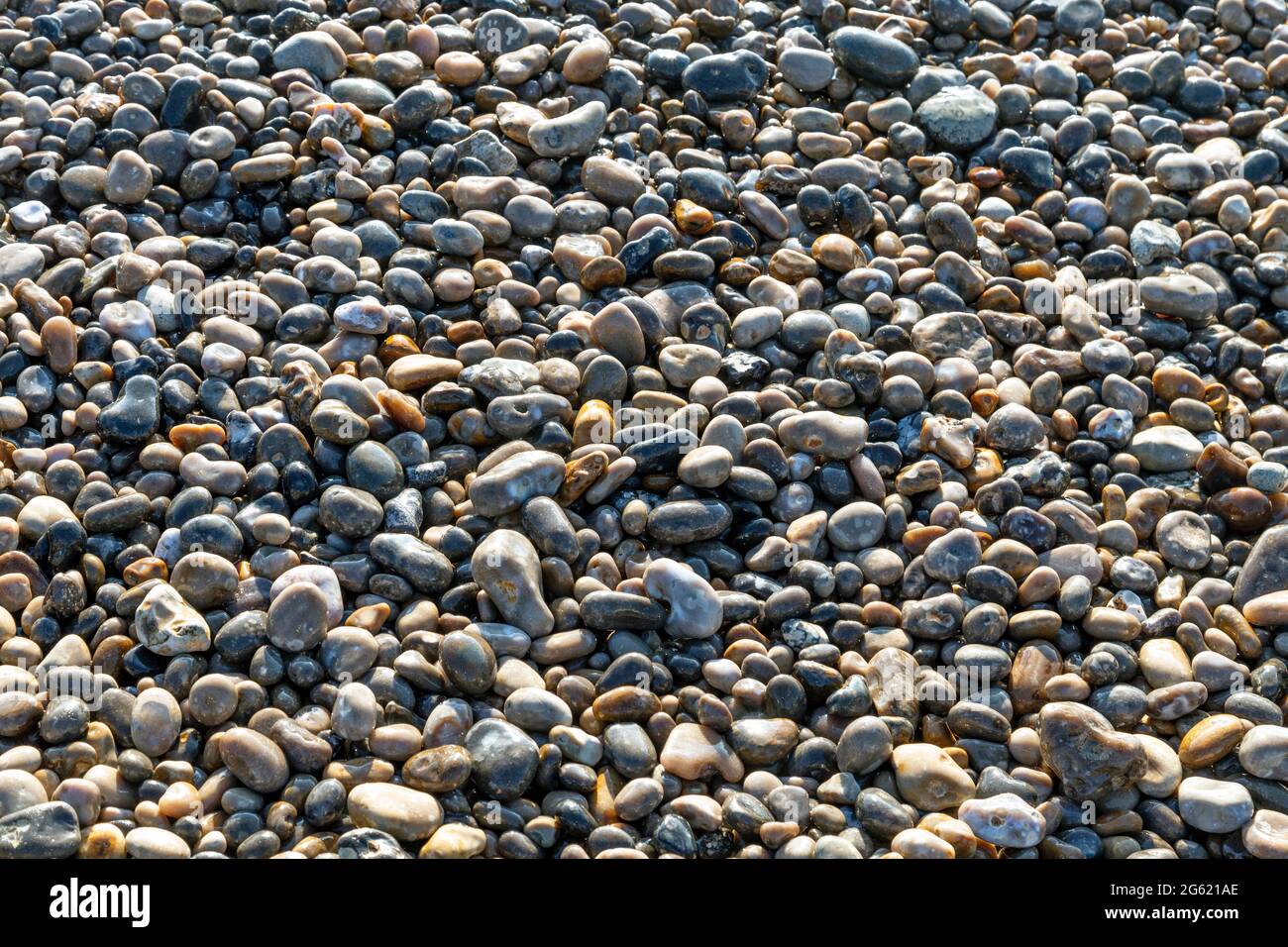 Primo piano di pietre lisce su una spiaggia di ghiaia, Beer Beach, Beer, Devon, UK Foto Stock