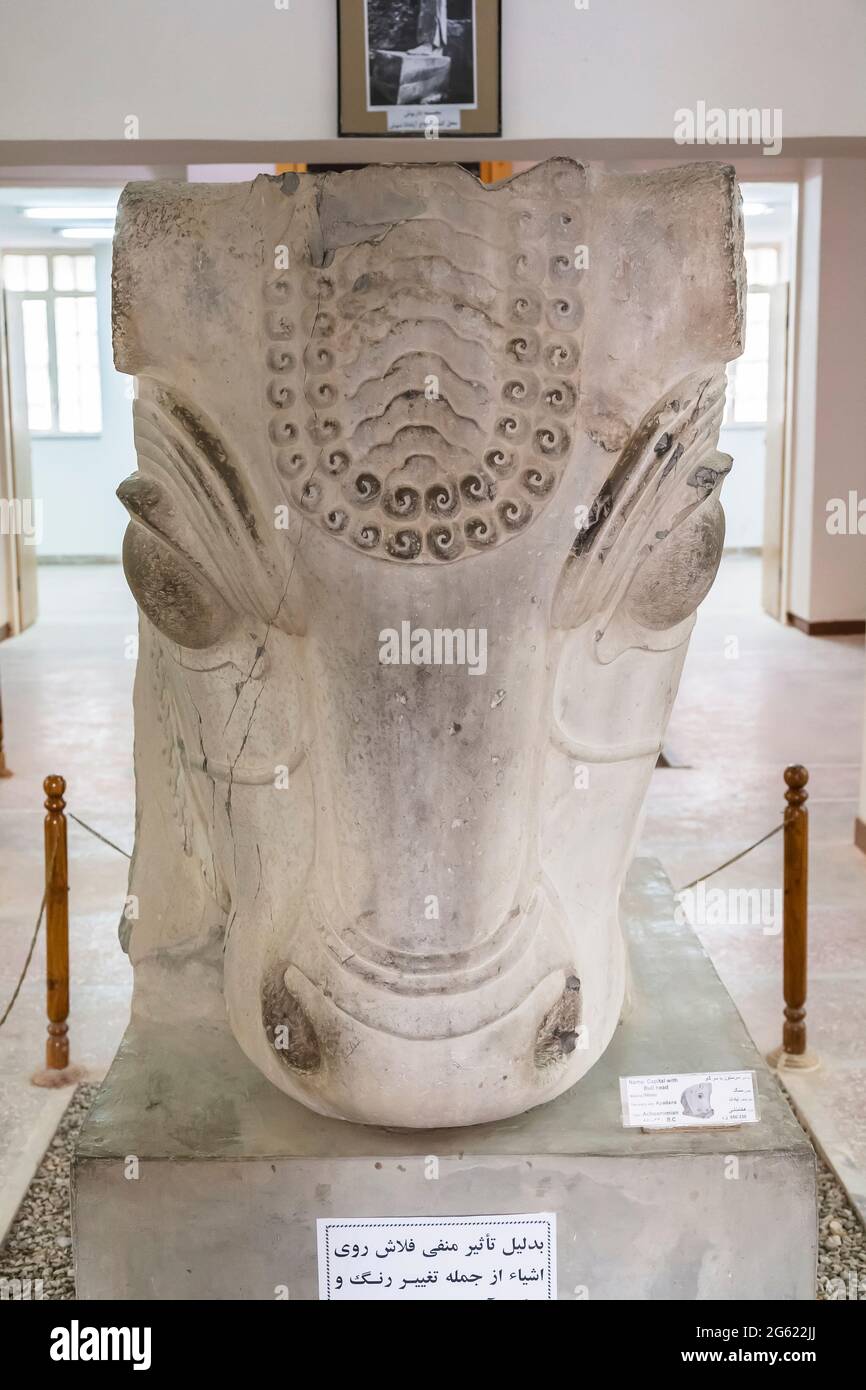 Capitale della testa del toro di pietra, museo di Susa, sito archeologico di Susa (Shush), Shush, Provincia di Khuzestan, Iran, Persia, Asia occidentale, Asia Foto Stock