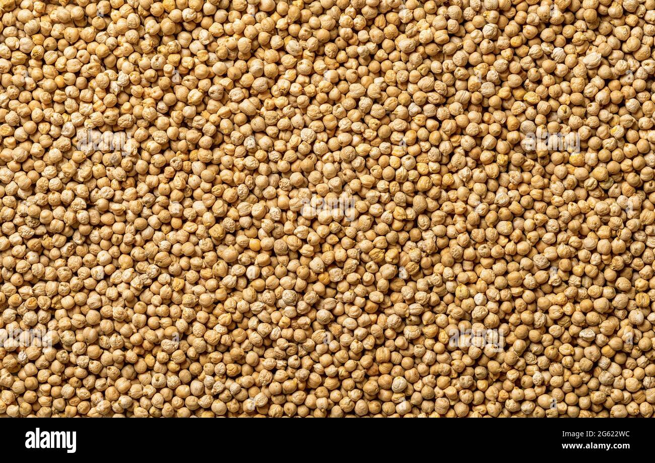 Fondo di fagioli di ceci asciutti. Consistenza di ceci non cotti. Ingrediente legume crudo per hummus e cibo vegetariano. Fonte di proteina vegetale. Foto Stock