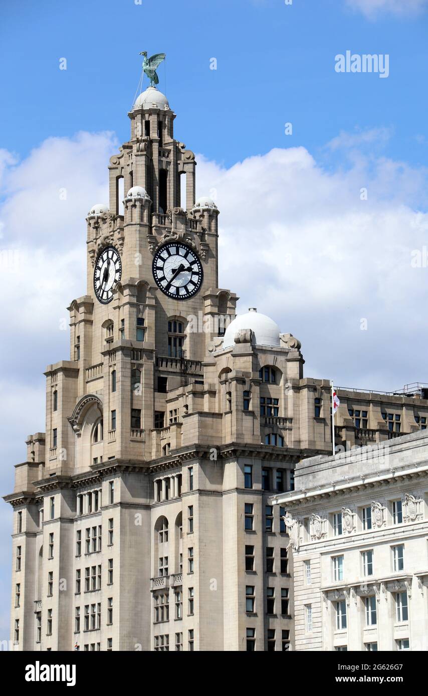 Il Royal Liver Building in Liverpool Foto Stock