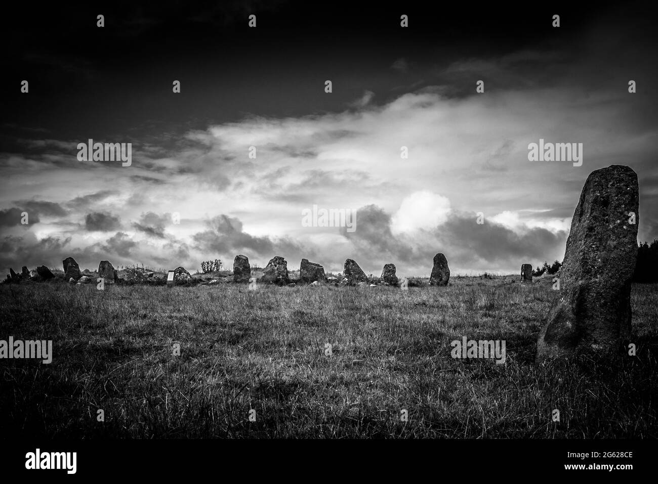 Cirecle di pietra di Beltany in bianco e nero Foto Stock