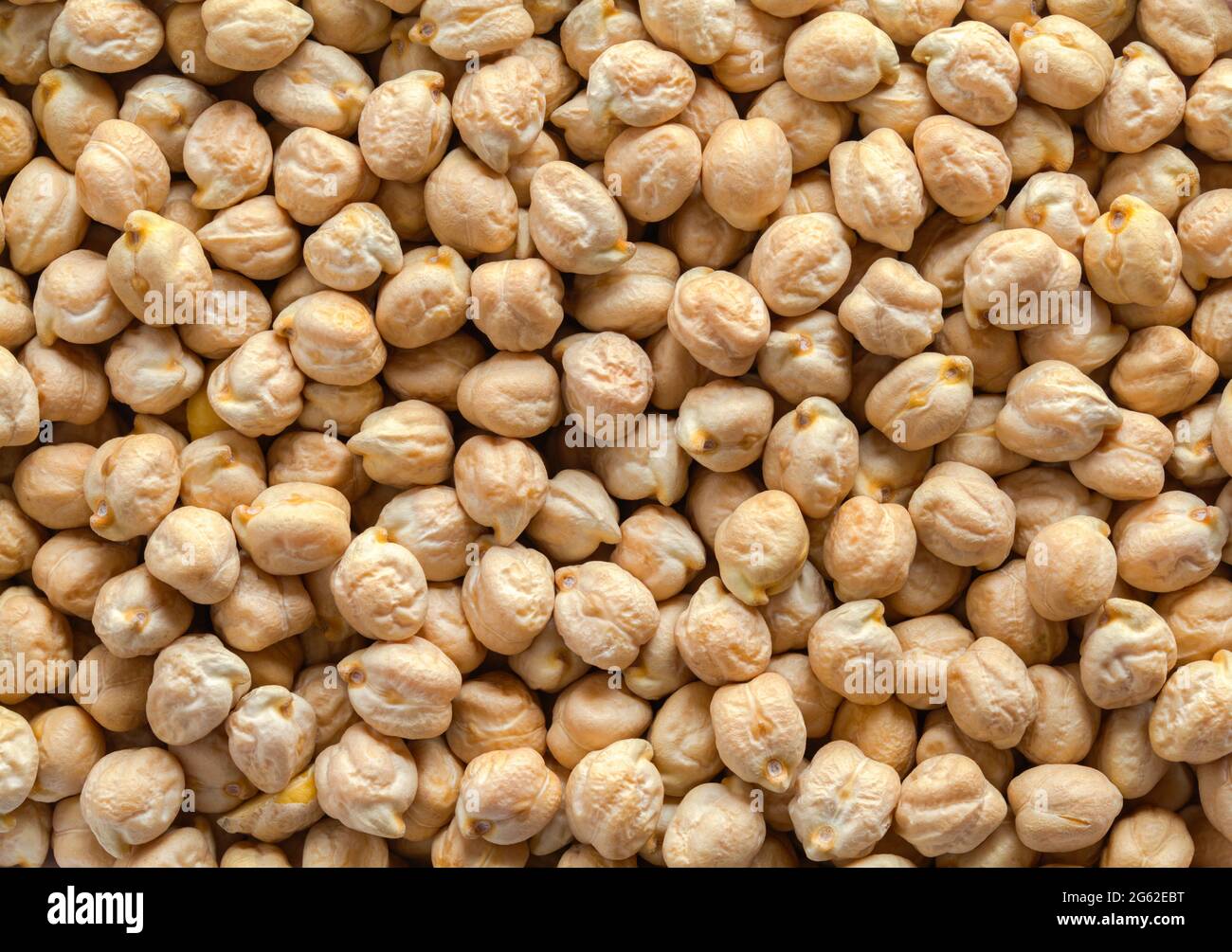 Pelo di fagioli di Garbanzo secchi trama di fondo. Foto Stock