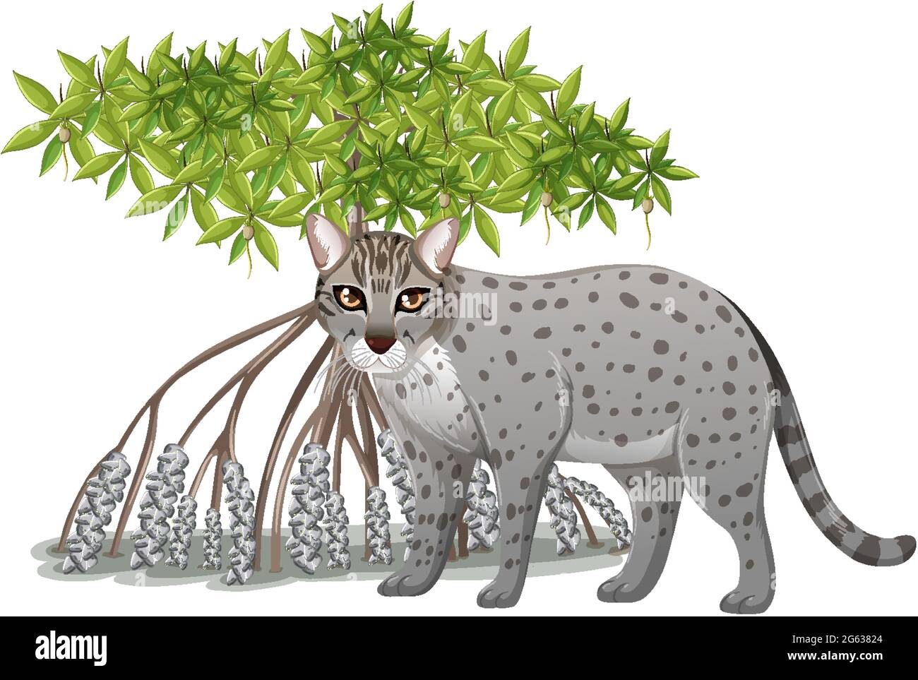 Gatto di pesca con Mangrove Tree in stile cartone animato su sfondo bianco illustrazione Illustrazione Vettoriale