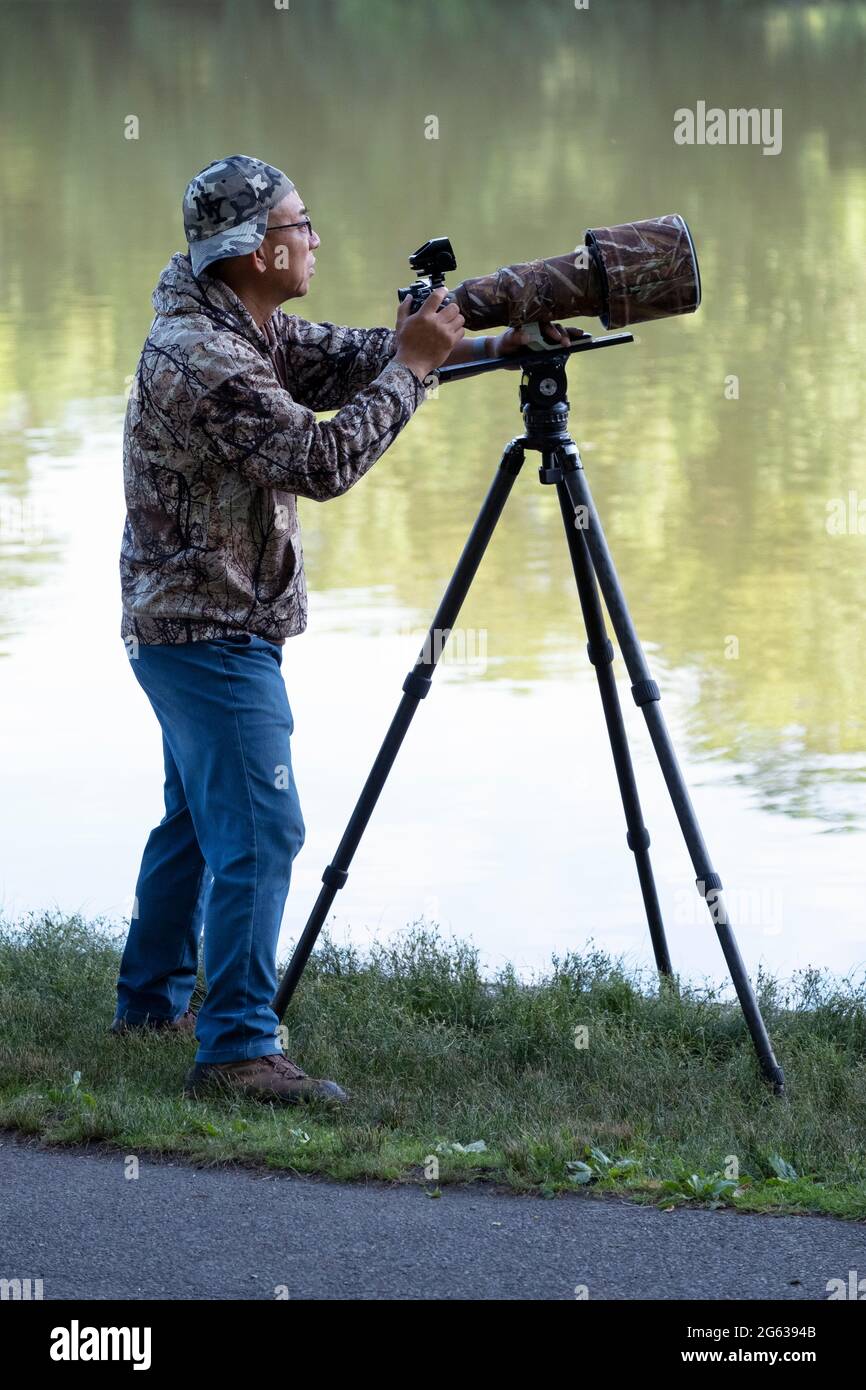 Un fotografo di uccelli e fauna selvatica con un lungo teleobiettivo fotografie Ospreys pesca nel lago Kissena Park. In rossore, Queens, New York. Foto Stock