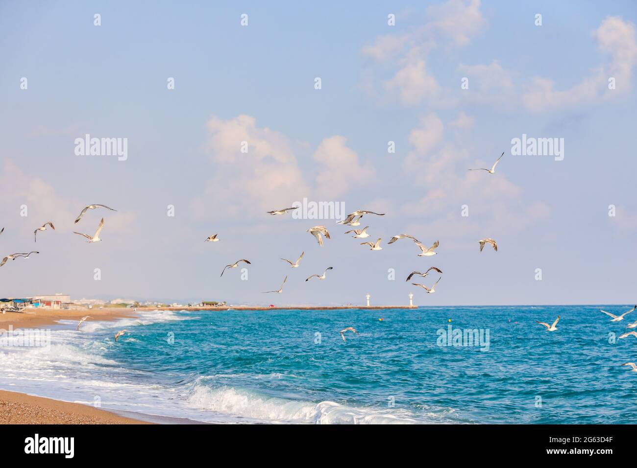 Gabbiani che volano, blu mare mediterraneo, faro e cielo sullo sfondo. Foto Stock