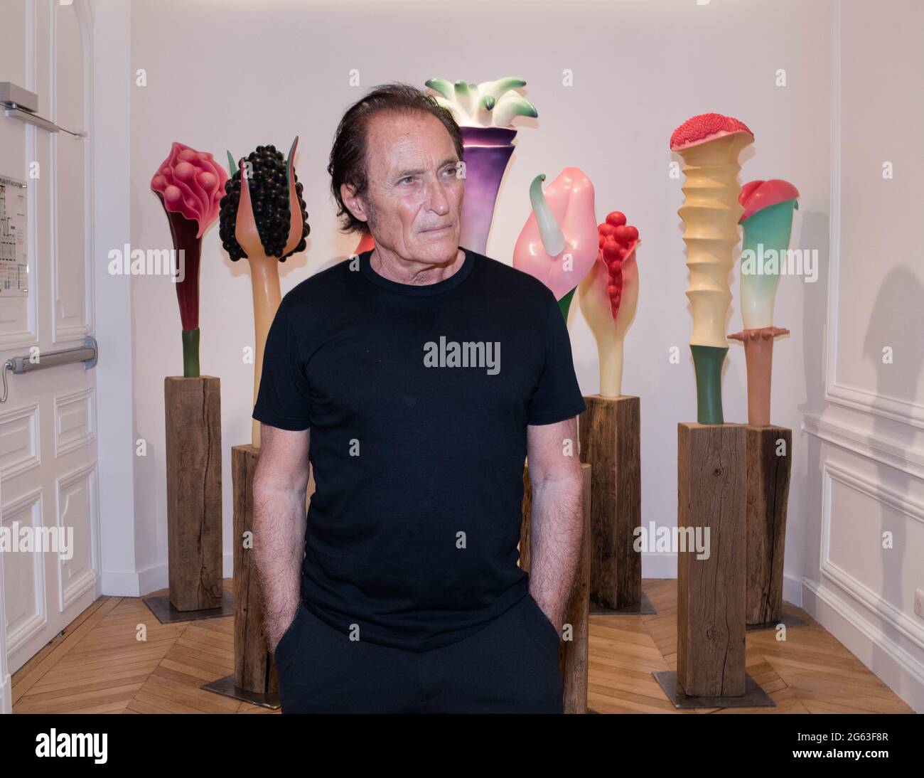 Soirée organisé par not A Gallery : Chapitre 1 : Rivages sans rivages - Printemps Ru Xiao Fan Du 10 juin au 15 juillet 2021 - Paris Francia Foto Stock