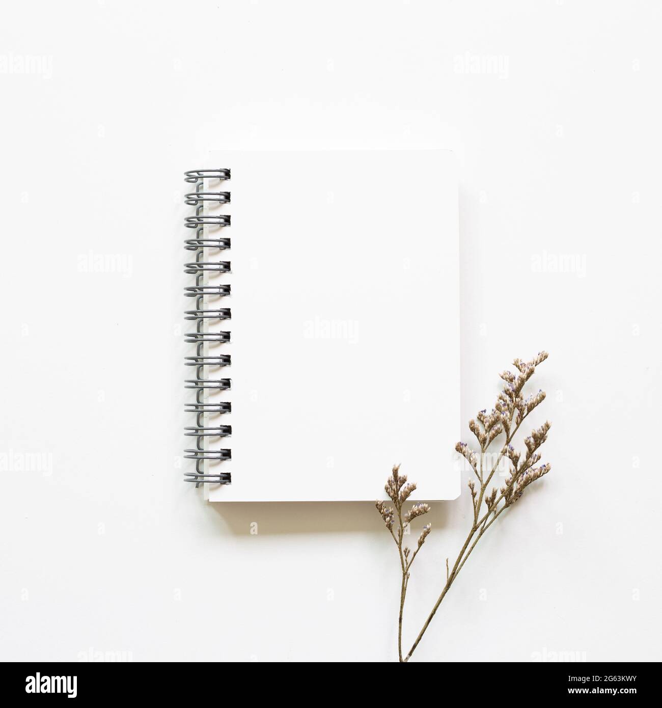 Apri il notebook con fiori asciutti su sfondo bianco. Vista dall'alto, spazio per la copia Foto Stock