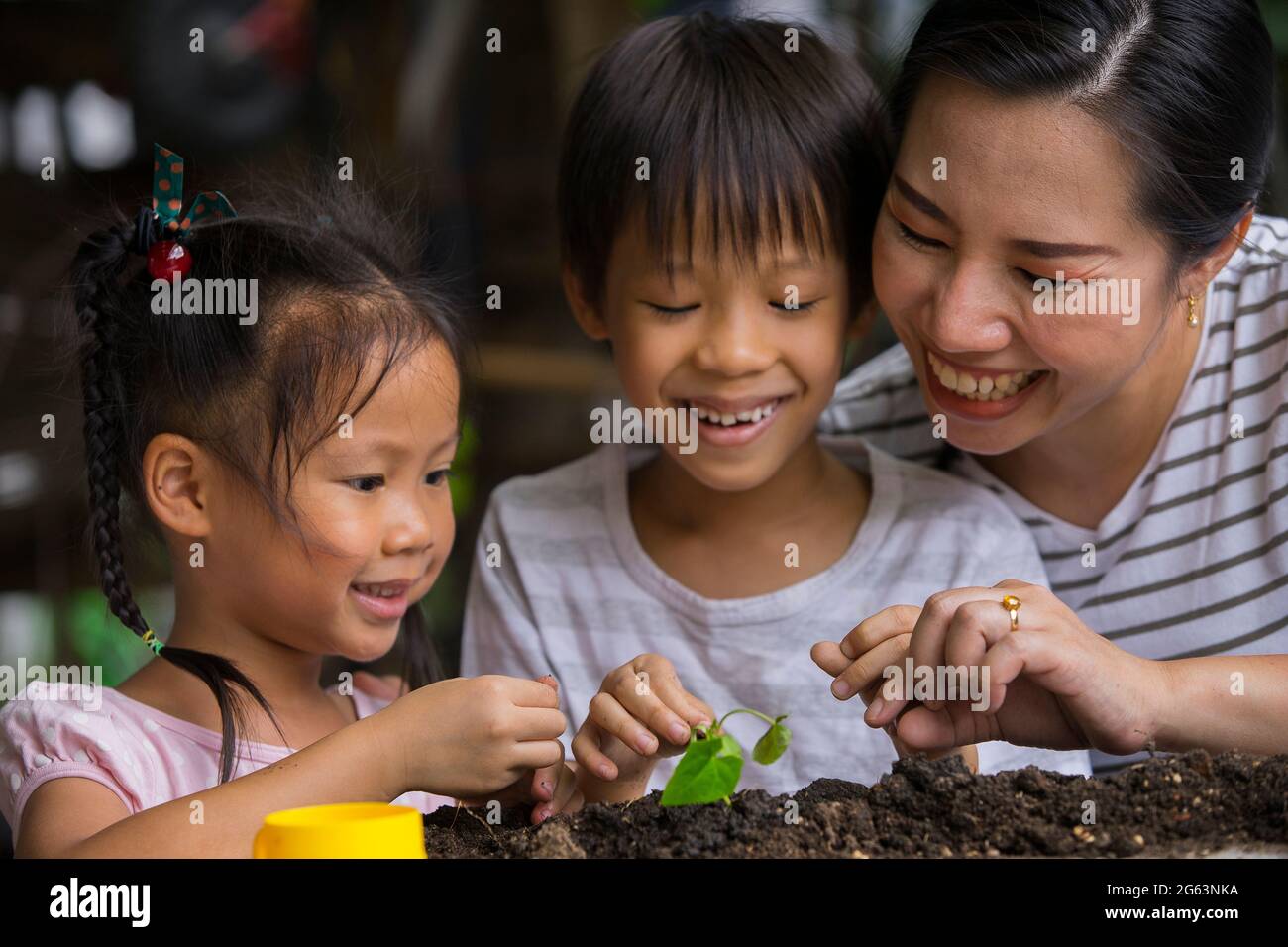 Madre asiatica ed i suoi capretti che fanno giardinaggio insieme. Primavera e hobby, la famiglia cresce fiori insieme. Hobby casa per tutta la famiglia, intrattenimento con il bambino Foto Stock