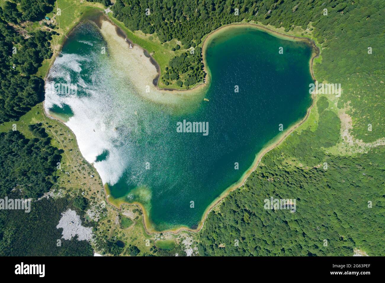Lago Trnovacko nel parco naturale di Piva, Montenegro Foto Stock
