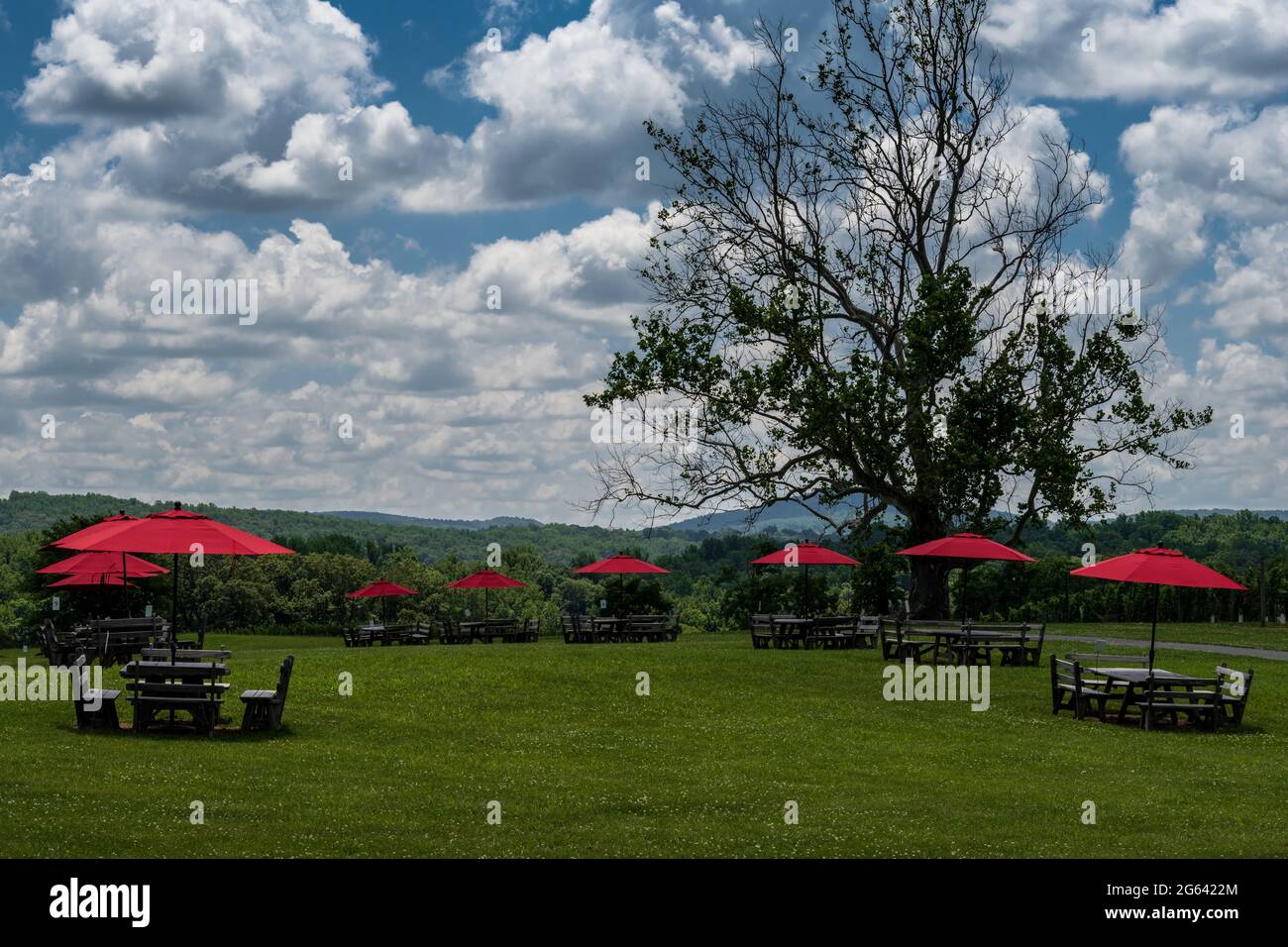 Foto di un'area da pranzo all'aperto con tavoli da picnic, ombrelloni rossi, cielo spettacolare e le montagne Blue Ridge sullo sfondo. Foto Stock