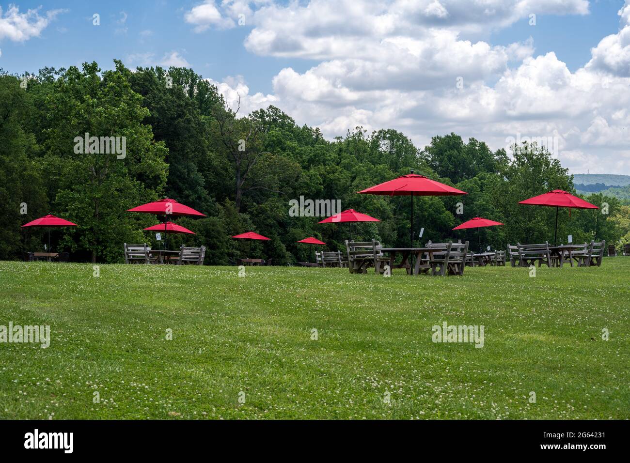 Foto di una soleggiata area da pranzo all'aperto in un campo nella Virginia rurale. Foto Stock